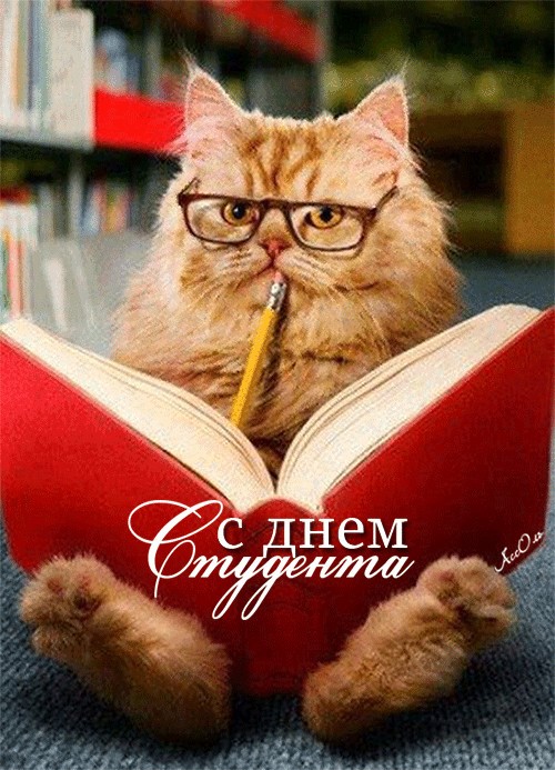 День российского студенчества